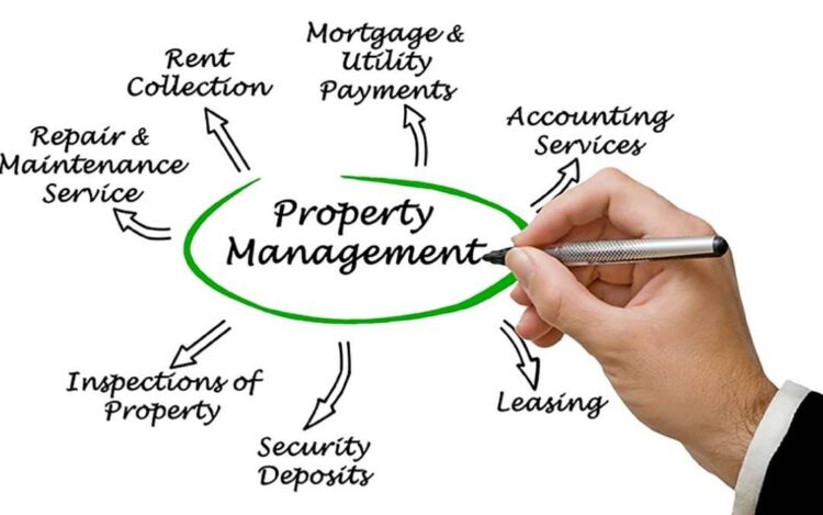 What It Takes To Thrive In The Property Management Industry >h1>