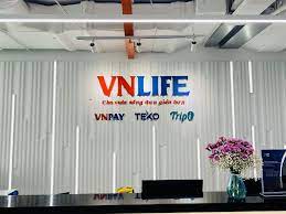 vietnambased vnlife vnpay 250m 1b asia bessemer partners bessemerdao 250m theinformation